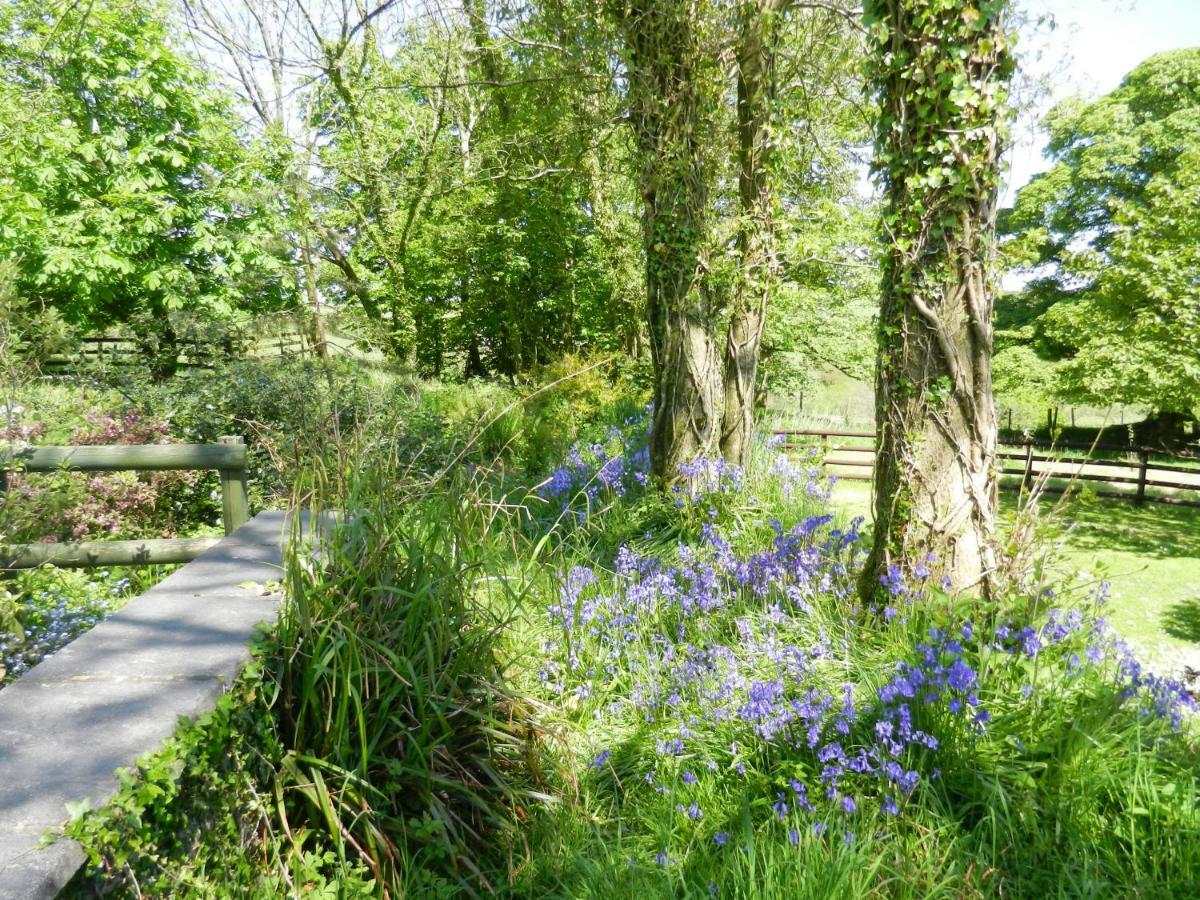 Cilwen Country House Bed And Breakfast Abernant Kültér fotó