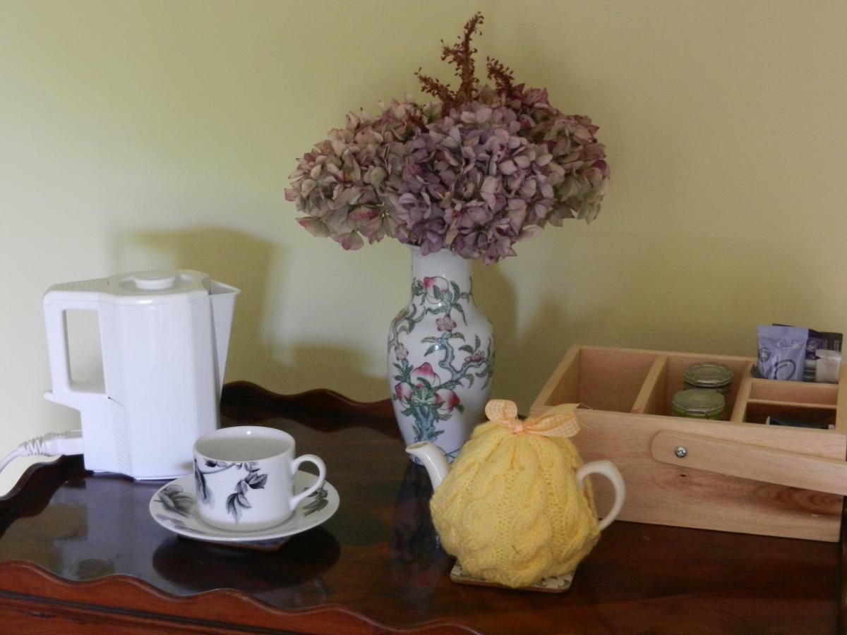 Cilwen Country House Bed And Breakfast Abernant Kültér fotó